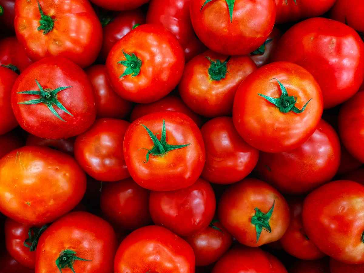 Pomodoro means tomato, and many tomatoes mean pomodoros.